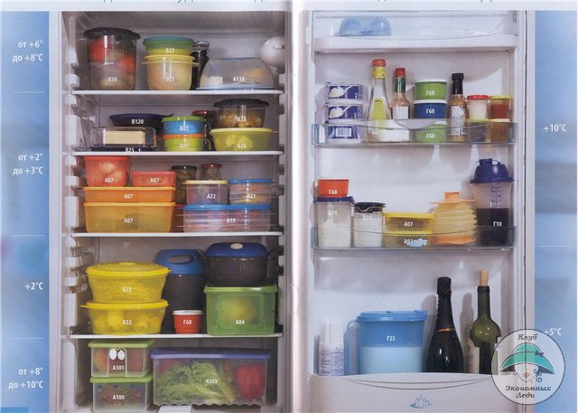 как хранить продукты в холодильнике